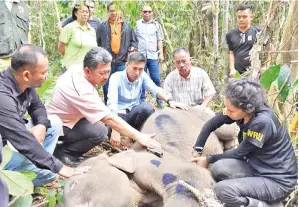  ??  ?? AUGUSTINE, Assafal, Juraimin ketika melawat keadaan anak gajah.