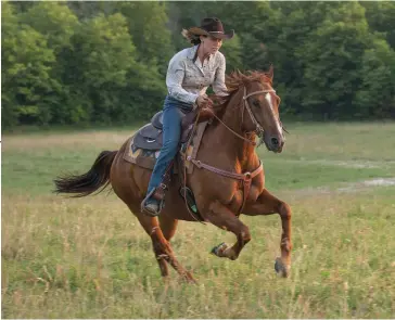  ??  ?? When your horse learns to stop well, you can work as slowly—or as fast—as you choose. Riding a gallop at full speed then knowing that you can slow down or stop means that you have physical and mental control of your horse in any environmen­t.