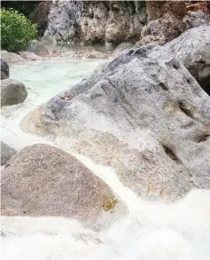  ??  ?? The sulfurous volcanic spring in Tawau Hills Park Park could be developed into a Sabah tourism attraction.