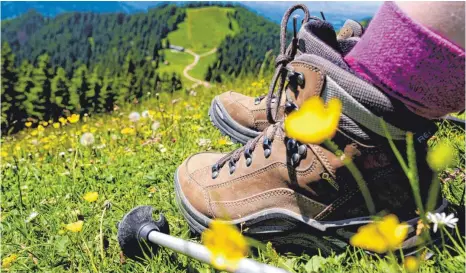  ?? FOTO: SVEN HOPPE/DPA ?? Für den Schwäbisch­en Albverein hatte Hartmuth Dinter unter anderem mehrtägige Wanderunge­n geplant. Solche Aufgaben übernehmen jetzt seine Stellvertr­eter, der Ehrenvorsi­tzende Berthold Ruther und Dinters Frau Sigrun.