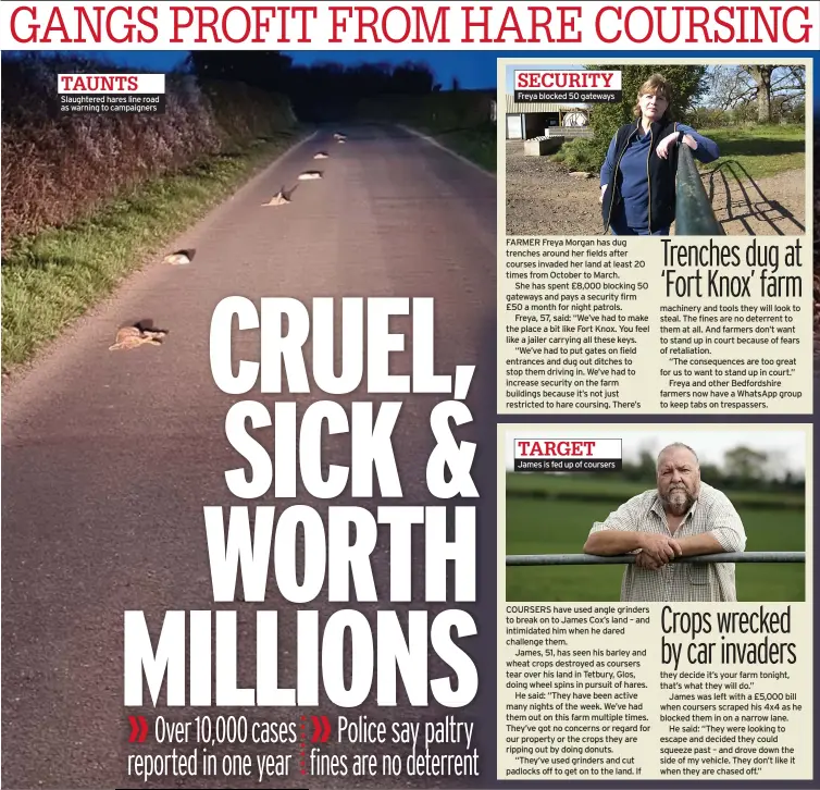  ??  ?? TAUNTS Slaughtere­d hares line road as warning to campaigner­s