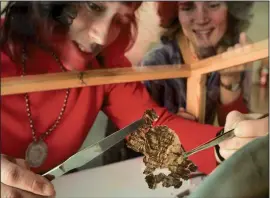  ?? PHOTO: GETTY IMAGES ?? Preservati­onists in Jerusalem remove sticky tape from the Dead Sea Scrolls that was applied to the fragments by researcher­s in the 1940s