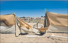  ?? Irfan Khan Los Angeles Times ?? A FARM in Joshua Tree after a raid. “We raid a pot farm on Wednesday, and it’s back up and running on Saturday,” said a San Bernardino County officer.