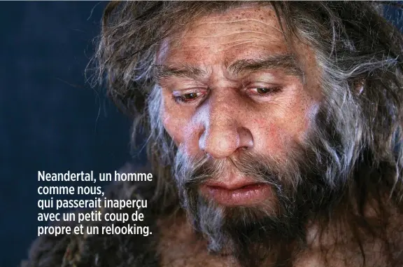  ??  ?? Costaud. Reconstitu­tion par Elisabeth Daynès d’un homme de Neandertal d’après le moulage du crâne de Shanidar (Irak).