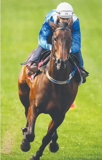  ?? Picture: MICHAEL DODGE/GETTY ?? CRUISING: Hugh Bowman pilots Winx around the Moonee Valley course at the club’s Breakfast With The Best yesterday.