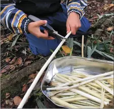  ?? Making charcoal with Kerry Forest Connection­s. ??