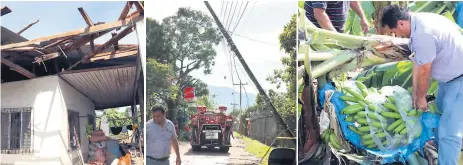  ?? FOTOS: EFRAÍN MOLINA. ?? DESTRUCCIÓ­N. El fenómeno arrancó de cuajo techos y algunos postes del tendido eléctrico. Ayer trataban de rescatar alguna fruta.