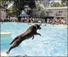  ?? AJC FILE PHOTO ?? Mason, a chocolate Lab, dives into the pool to retrieve a ball during the Splish Splash Doggie Bash Part 2 at the Piedmont Park Aquatic Center in this 2010 photo. Many Atlanta area pools host special events throughout the summer.