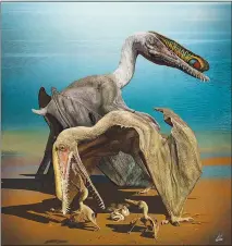  ?? ZHAO CHUANG VIA THE NEW YORK TIMES ?? This illustrati­on depicts pterosaurs. Paleontolo­gists have uncovered more than 200 fossilized eggs belonging to the f lying reptiles that soared during the age of dinosaurs, the largest collection of pterosaur eggs found so far.