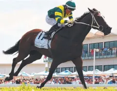  ?? Picture: AAP ?? MAGIC RUN: Care To Think wins the Magic Millions Cup.