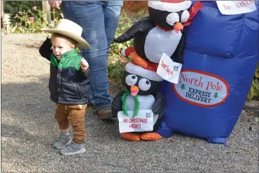  ?? PHOTOS BY JUSTIN COUCHOT — ENTERPRISE-RECORD ?? 15-month-old Wyatt McElfresh stands alongside his mother on Sunday at the First Old Fashioned Christmas Fair hosted by the Meadows venue in Willows