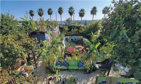  ?? LUCKY ATKARE ?? An urban garden in Los Angeles features colourful seating. Interest in gardening has grown around the continent. And urban gardeners say it’s particular­ly important for the health and resiliency of city neighbourh­oods.