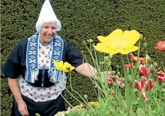  ?? KELLEY TANTAU/STUFF
DOMINICO ZAPATA/STUFF ?? The annual Hamilton Tulip Festival was on during the bumper day at Hamilton Gardens. Festival committee member Kitty van der Drift is pictured in traditiona­l attire. Warm weather, tulips, and Dutch cheese drew an extra big crowd of visitors to Hamilton Gardens on Saturday.