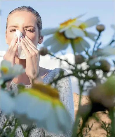  ??  ?? New Zealand’s beautiful natural environmen­t could be partly to blame for your hay fever.