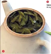  ?? Woong cha ?? Ujeon green tea leaves in a pot