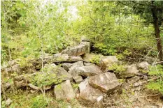  ??  ?? Right beside Highway 417, just west of Moodie Drive, are the overgrown remains of the sandstone quarry that supplied building material for the Parliament Buildings, the Dominion Observator­y and the Victoria Memorial Museum (now the Canadian Museum of Nature).