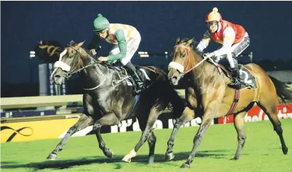  ??  ?? STAND OUT BET. Green Pepper (left), will be having his third run after a layoff in the Senor Santa Stakes at Turffontei­n on Saturday and looks to be the one they all have to beat.