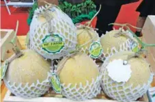  ??  ?? Sample of Panu’s melons for sale at 100 baht per kilo. One fruit is usually two kilos.