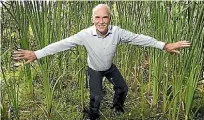 ??  ?? Roy Weaver, chairperso­n of Wild for Taranaki Trust, helps grassroots projects to protect and enhance Taranaki’s native flora and fauna.