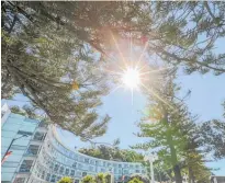  ?? Photo / Warren Buckland ?? The Scenic Hotel Te Pania in Napier says the presentati­on of a photo ID and credit card upon check-in is company policy.