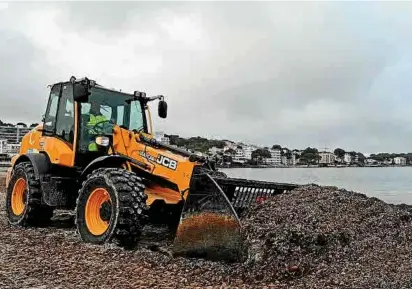  ?? Foto: Archiv ?? Im Frühjahr werden die Posidonia-Reste meist mit schwerem Gerät beiseite geräumt.