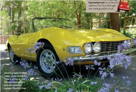  ??  ?? Gleaming Giallo Fly Dino Spider shines among the flowers, sitting on mint refurbishe­d alloys with new-old-stock Koni dampers found by Lowe