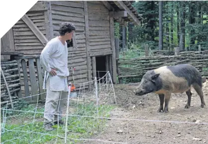  ?? ?? Ein Relikt aus der Moderne: Der Zaun ist sowohl zum Schutz der Menschen als auch der Schweine da.