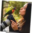  ??  ?? Priscilla Kasidis enjoying a close encounter with a local rainbow lorikeet.