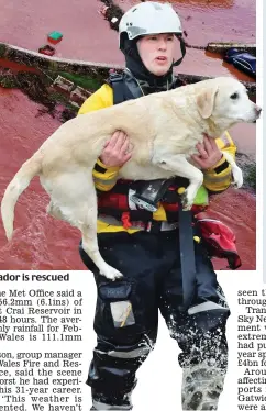  ??  ?? sea of murky brown water. Right, a labrador is rescued