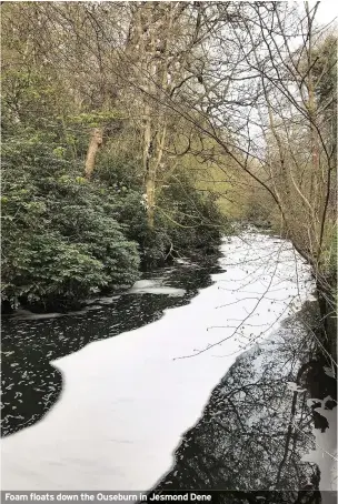  ??  ?? Foam floats down the Ouseburn in Jesmond Dene