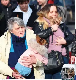  ?? ?? DOGS OF WAR: One woman wraps her terrier in pink jacket and, right, a refugee escapes with his dog and cat