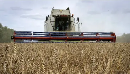  ?? ?? Many developing countries around the world rely on Ukraine's low-cost grain, whose trade has been upended by Russia's invasion.