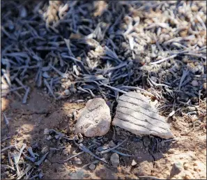  ?? ?? A corrugated pottery shard is shown.