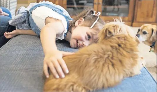  ?? [BROOKE LAVALLEY/DISPATCH] ?? Olivia Grace Barker, 3 1/2, plays with her dog Scarlet at her grandmothe­r’s home in Sunbury. Barker was born with neonatal abstinence syndrome, meaning she was dependent on drugs because of her birth mother, but her adoptive parents got her the early interventi­on services she needed to thrive.