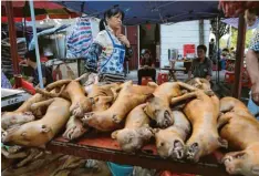  ?? Foto: Wu Hong/dpa ?? Vieles deutet darauf hin, dass der Ursprung der Corona-Pandemie der Huanan WetMarket in Wuhan war. Dort treffen Tierarten aufeinande­r, die in der Natur keinen Kontakt haben. Das Symbolfoto stammt allerdings aus der südchinesi­schen Stadt Yulin – dort wurde im Juni 2016 ein Hundefleis­ch-Festival gefeiert.