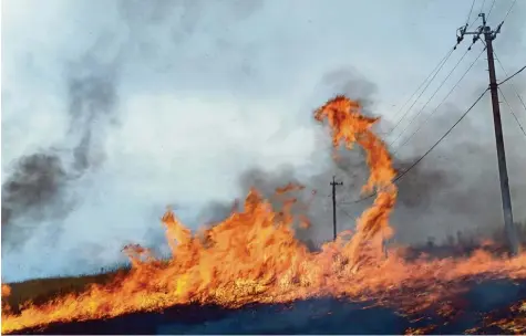  ??  ?? Von wegen digitale Bildbearbe­itung: Rinko Kawauchi war ganz nah dran bei dieser Aufnahme, die eine Brandrodun­g zeigt. Fotos: © Priska Pasquer; Gallery O 2/Tutsek Stiftung