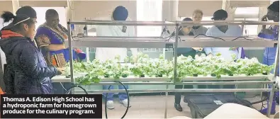  ??  ?? Thomas A. Edison High School has a hydroponic farm for homegrown produce for the culinary program.