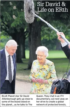  ??  ?? BLUE Planet star Sir David Attenborou­gh gets up close to some of the bluest blood on the planet... as he talks to The Queen. They chat in an ITV documentar­y, out next year, on her drive to create a global network of protected forests.