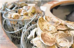 ?? AMY DAVIS/BALTIMORE SUN ?? Local Orchard Point oysters, foreground, harvested from the Chester River on the Eastern shore, are ready for shucking with other oysters from New England at Dylan’s Oyster Cellar in Baltimore.