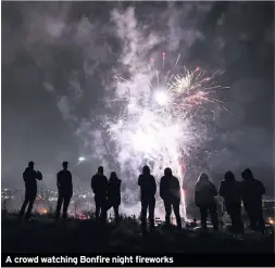  ??  ?? A crowd watching Bonfire night fireworks