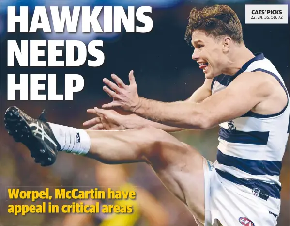  ?? Picture: MICHAEL KLEIN ?? HELP WANTED: Tom Hawkins is still Geelong’s main man in attack but the rising 30-year-old needs some back-up.