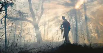  ?? JOHN D. SIMMONS/AP FILE ?? As the U.S. tries to restore a key forest ecosystem in the Southeast, landowners must light more fires on private property. The so-called “prescribed burns” are key to clearing forest debris and allowing pine cones to drop seeds onto the floor.