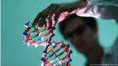  ??  ?? Human DNA is well-protected and cannot be 'damaged' by the vaccine