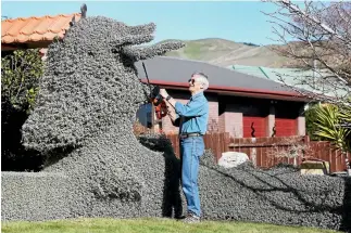  ?? PHOTOS: DEREK FLYNN/FAIRFAX NZ ?? Scotsman Alan Hall has shaped his hedge into a giant outline of the Loch Ness monster. ‘‘It’s now taken on a life of its own,’’ he says.