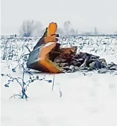  ?? Foto: Uncredited, Life.ru, dpa ?? Dieses Video Standbild zeigt Trümmertei­le eines Flugzeugs vom Typ An 148 auf einer Wiese in der Nähe des Flughafens Domodedowo.