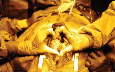  ??  ?? Two hands of surgeons form a heart shape on the background of open heart Medical concept