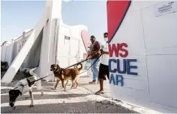  ??  ?? Employees of the Paws animal welfare organizati­on walk rescued stray dogs outside the premises in the Mesaieed Industrial Area, Qatar.