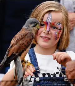  ??  ?? Feathered friend: Mia marvels at the kestrel yesterday