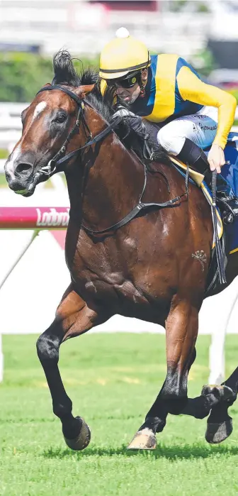  ?? ?? Storm Boy leads all the way to win the Group 3 BJ McLachlan Stakes at Eagle Farm for jockey Adam Hyeronimus. Picture: Grant Peters - Trackside Photograph­y