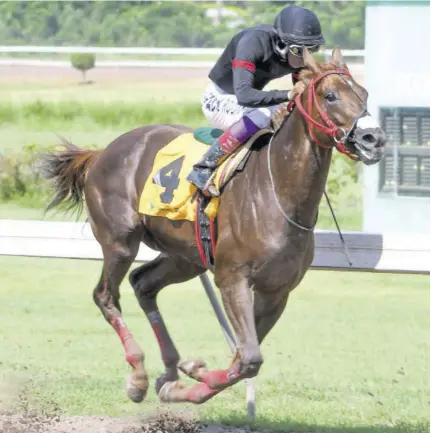  ?? (photos: Naphtali Junior & garfield Robinson) ?? Sentient (Anthony Thomas) in full flight en route to victory in the Chairman’s Trophy on Saturday, September 26, 2020.